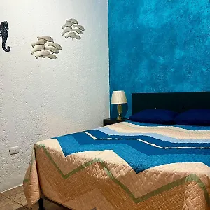  Hostal Wonderland B&B - Shuttle Services Available